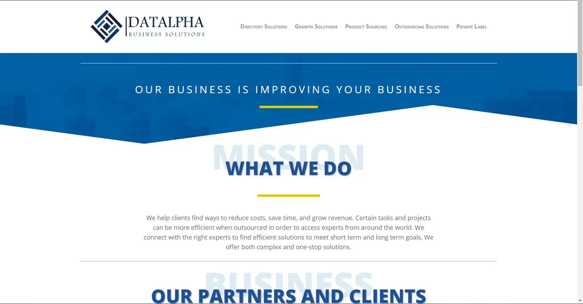 Datalpha Business Solutions corporate site in blue with mission statement, partners and testimonials